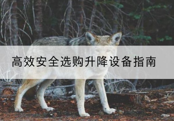 且末升降货梯厂家推荐-*安全选购升降设备指南
