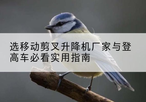 且末电动升降机厂家-选移动剪叉升降机厂家与登高车必看实用指南