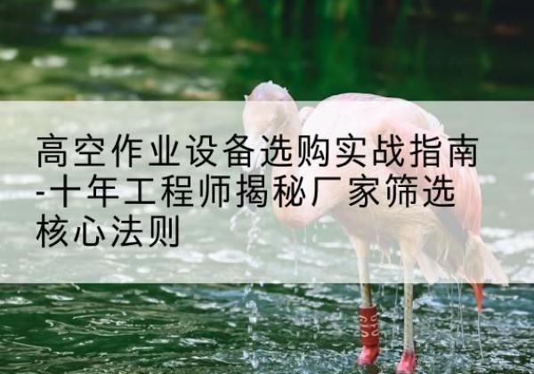 且末剪叉式升降机厂家-高空作业设备选购实战指南-十年工程师揭秘厂家筛选核心法则