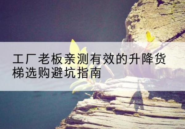 且末升降货梯怎么选-工厂老板亲测有效的升降货梯选购避坑指南